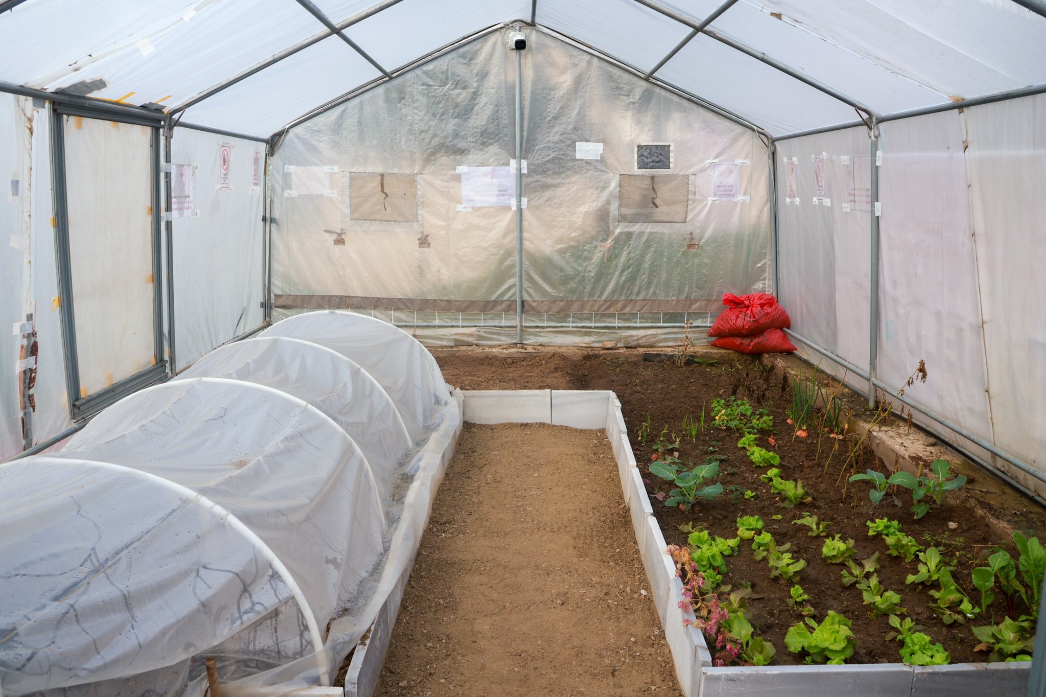 621818229 1275372421291099 7146425140583466774 N