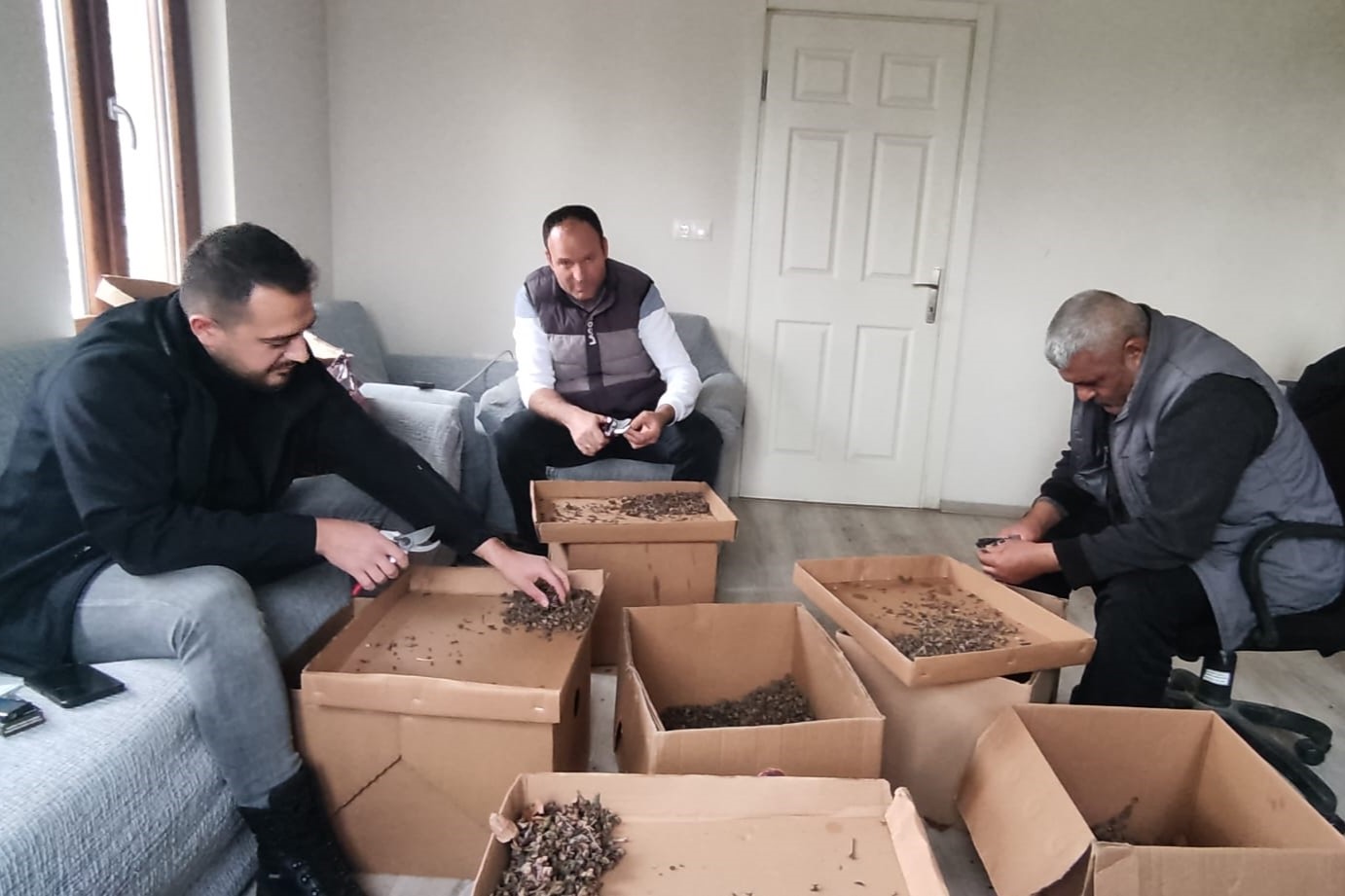 622771016 1353303376837997 4868121898535772580 N