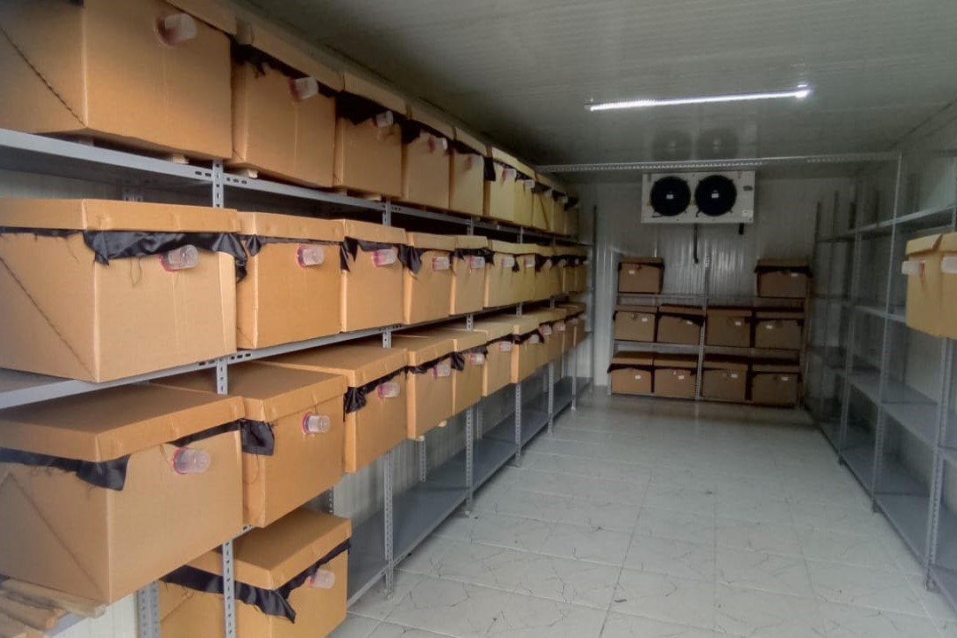 622791208 1353303466837988 3315727970822601656 N