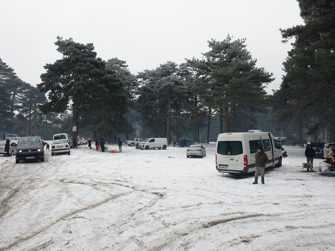 A A 20260118 40292437 40292431 E D R E M I T K O R F E Z I N D E Y A S A Y A N L A R K A R I N T A D I N I K A Z D A G L A R I N D A C I K A R D I