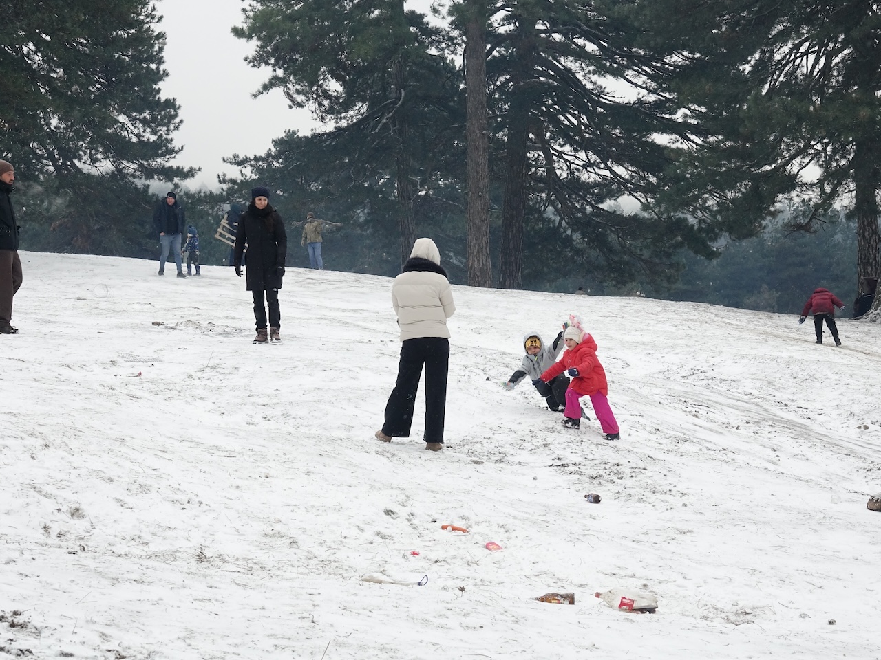 A A 20260118 40292437 40292434 E D R E M I T K O R F E Z I N D E Y A S A Y A N L A R K A R I N T A D I N I K A Z D A G L A R I N D A C I K A R D I