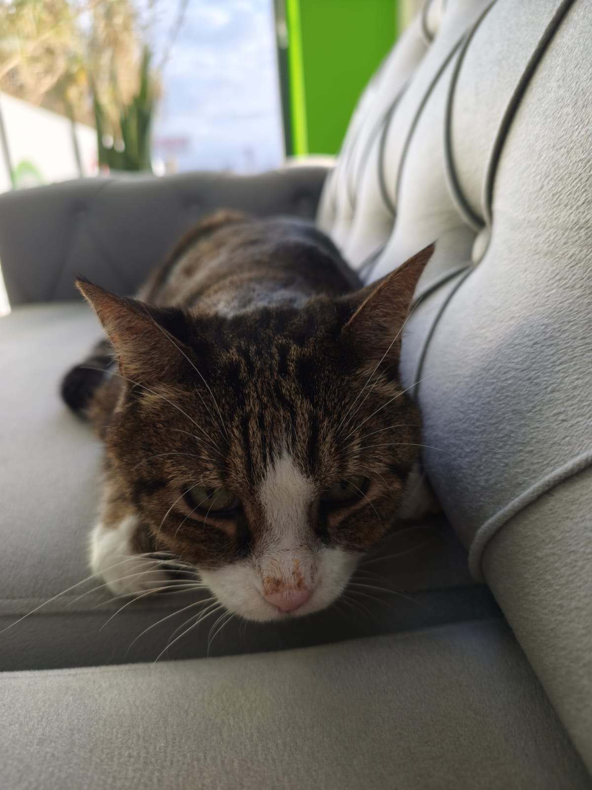 A A 20260121 40322694 40322691 B A L I K E S I R D E 15 Y A S I N D A K I K E D I N I N B E Y N I N D E N K A F A T A S I B U Y U K L U G U N D E T U M O R C I K A R I L D I