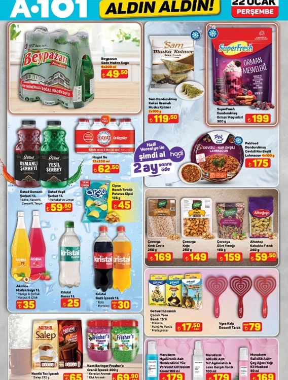 A101 22Ocak10