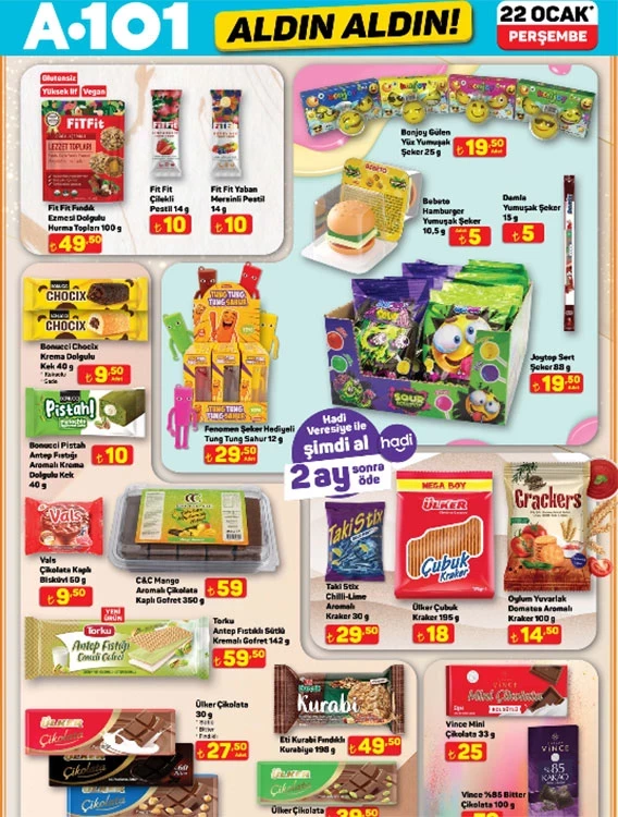 A101 22Ocak11