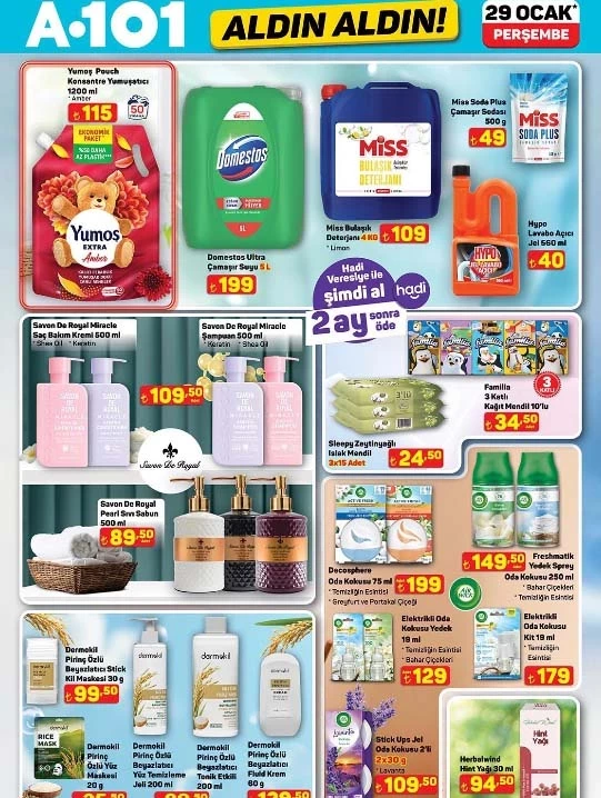 A101 29Ocak15