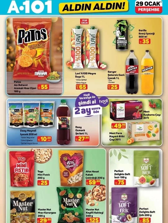 A101 29Ocak16