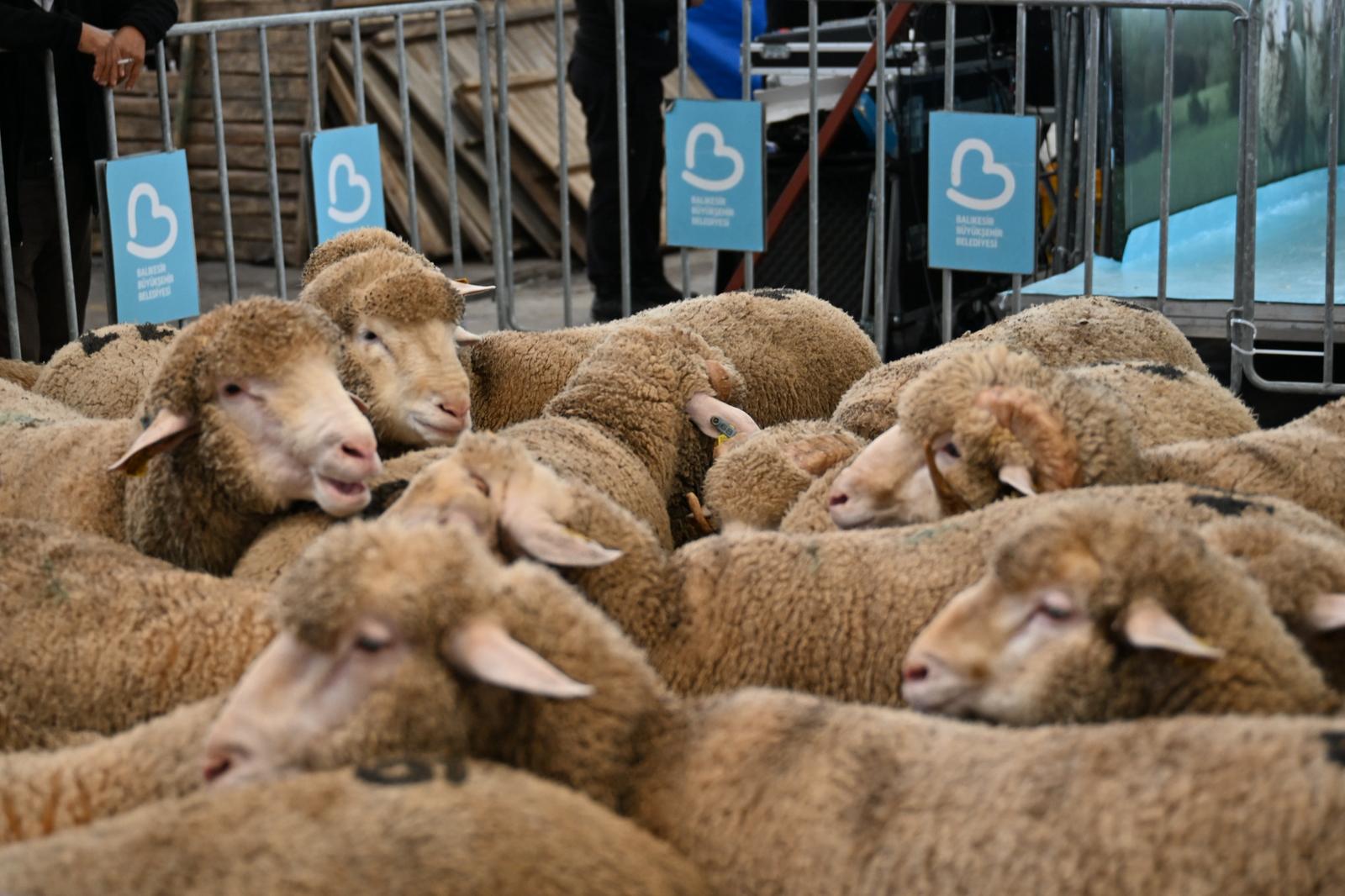 B1Ab4563 528F 4Eb1 8B69 93E2B27E3Db3