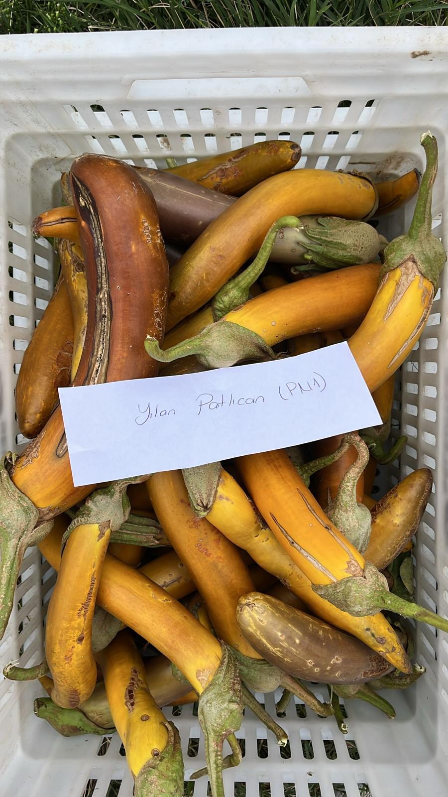 Bd38Ea87 506B 44Fd 83Fc 6C6D14E20B54