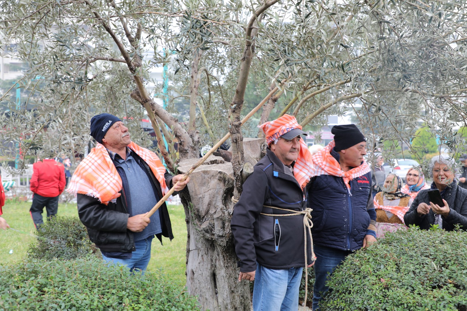 E41519Cc 832E 4Dfe 94B1 7B55C1465Cd7