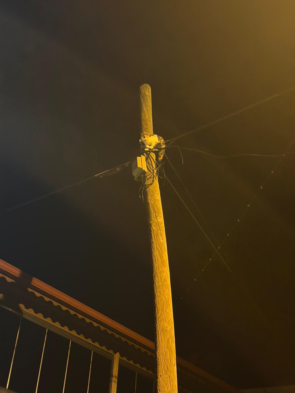 Whatsapp Image 2026 01 15 At 23.57.06 (1)