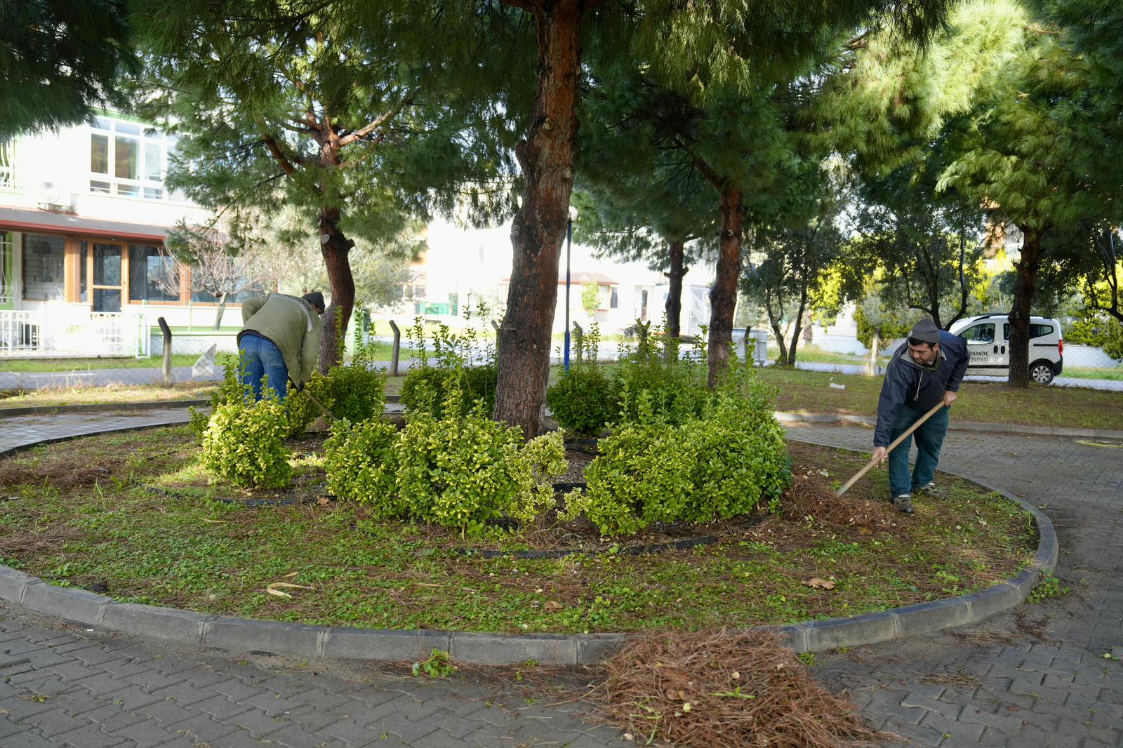 Whatsapp Image 2026 01 23 At 16.36.58