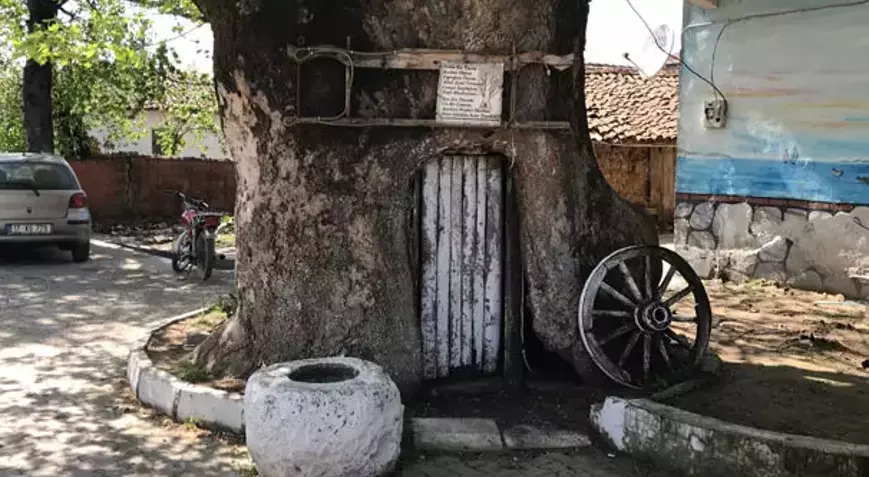 5C8D16C445D2A079940Bf94F