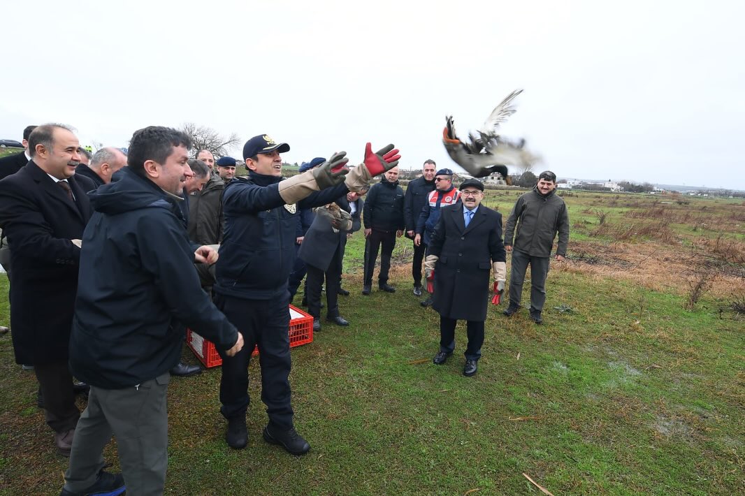 624030201 18322858381222704 1716696808801110816 N