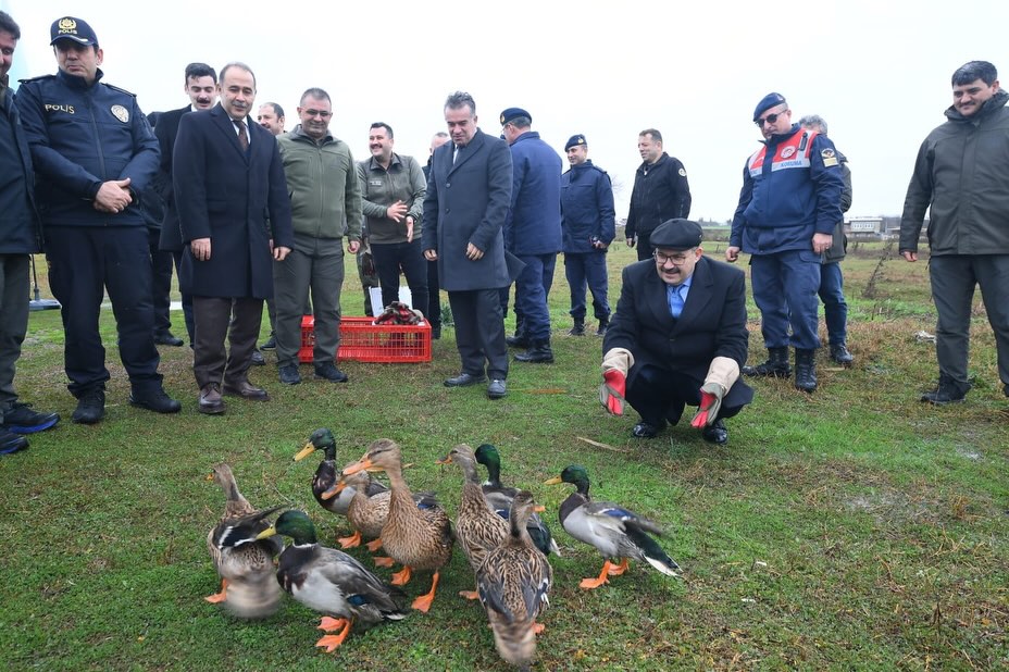 625286483 18322858390222704 4466953415089723025 N