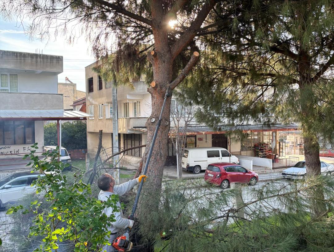 625986160 906879958369697 7121210001376356718 N