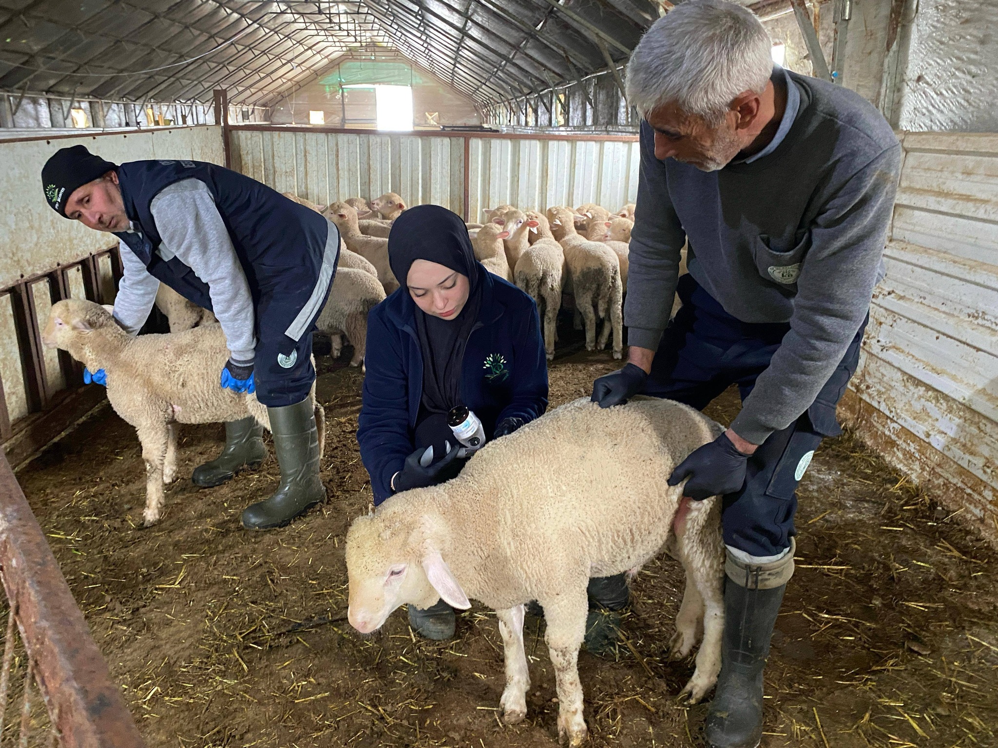 627141735 1220475206952141 8751084007680664693 N