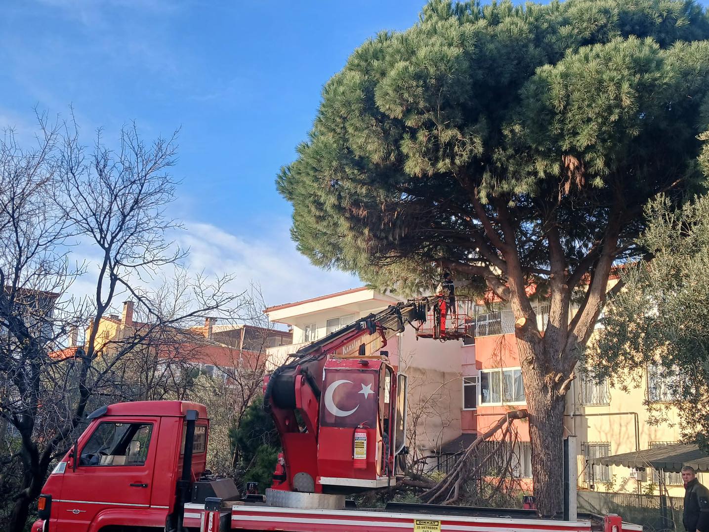 627197575 906879965036363 5654454875408770976 N