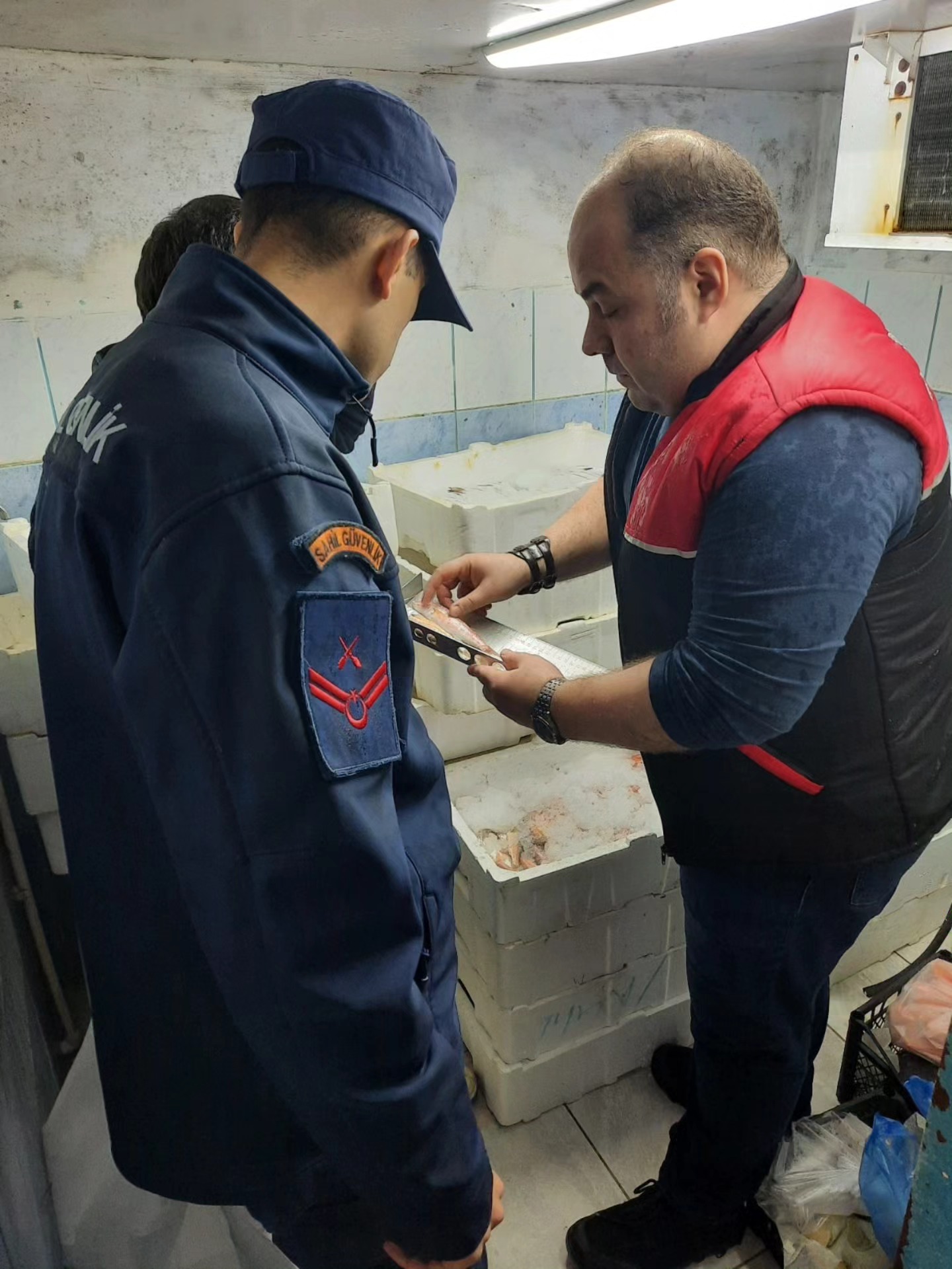 628443033 1203063178617817 1522232032012469291 N