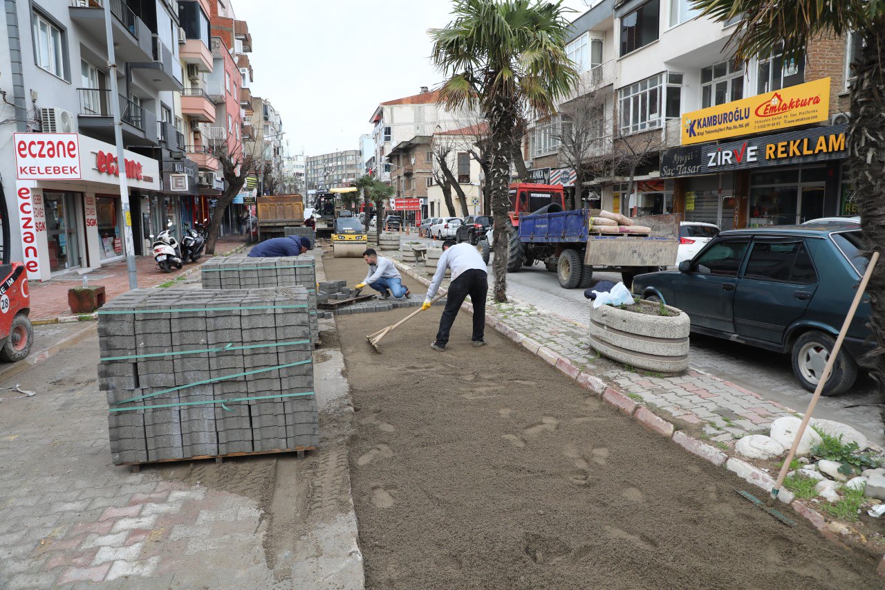 629133635 911361321254894 3485866722224111156 N