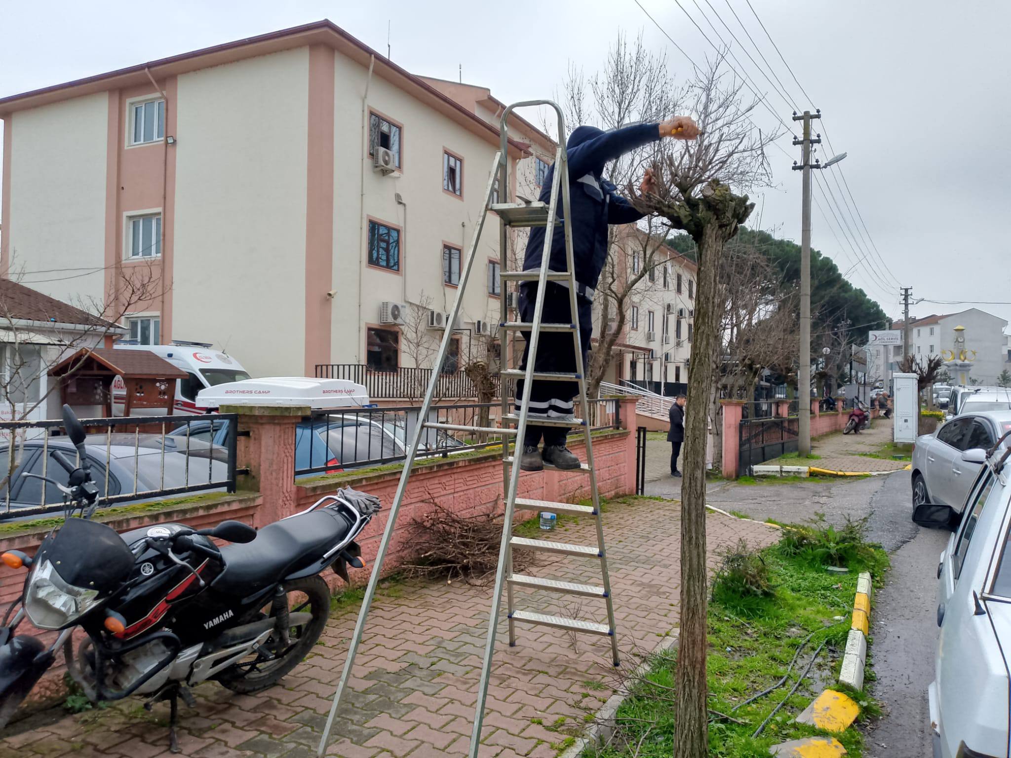 630987829 1225020859830909 3965252481249459261 N