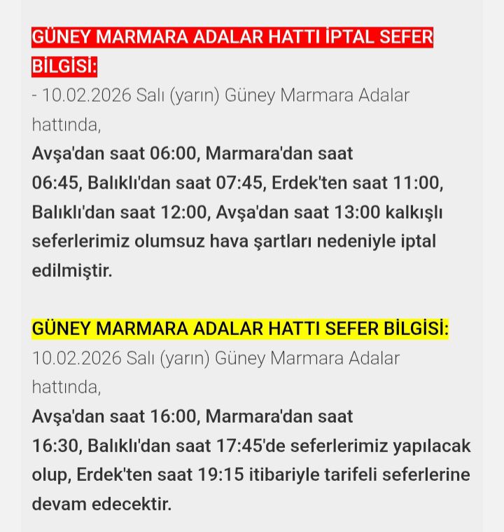 631252747 4222778641309511 5433400502156220164 N