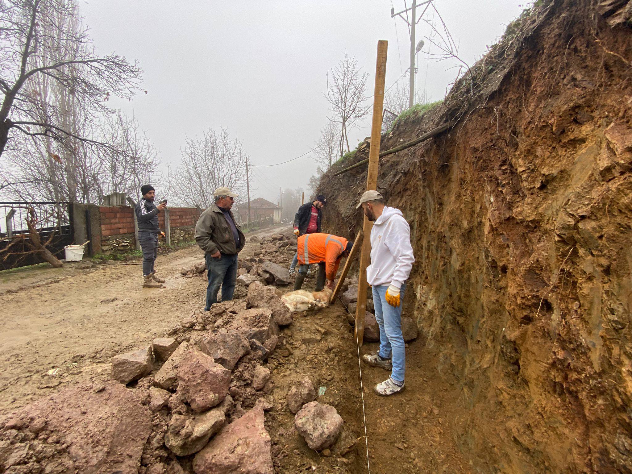 633414593 1226619629671032 775509394681897776 N