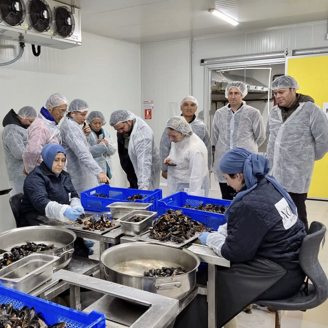 633851054 1314681600702699 8460878362866873348 N-1