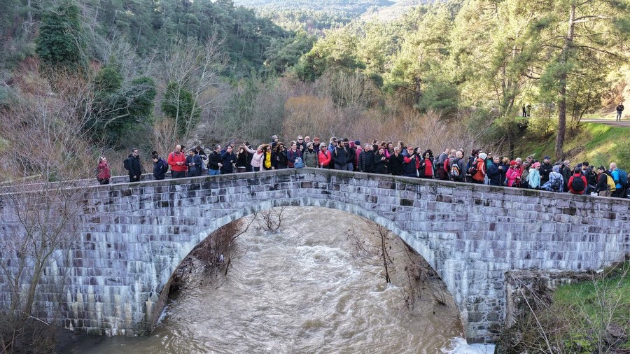 634477861 18389390416149843 4984624056302858752 N