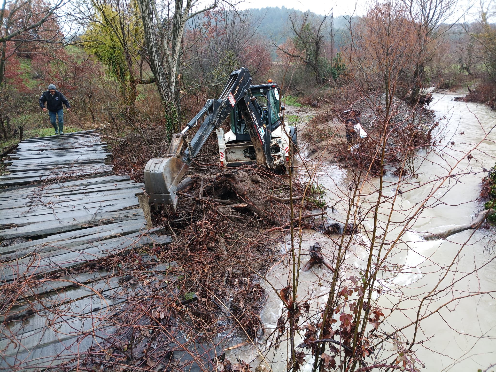 635377675 122211972548335762 120336832208496757 N