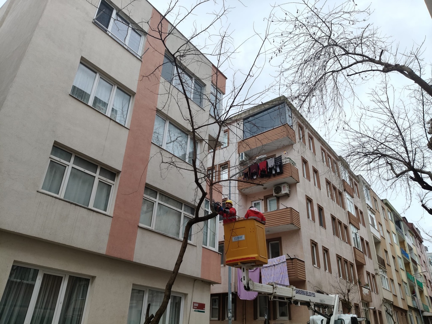 636665630 18347390236225400 7778039675418193156 N