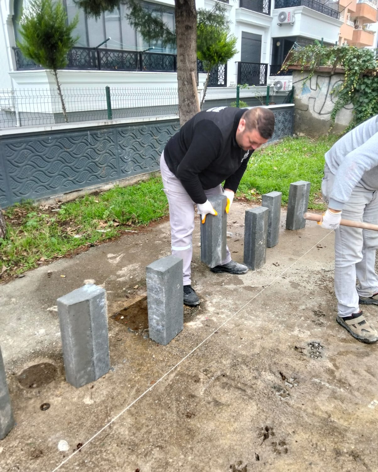 637850962 918878333836526 1989011497127855231 N