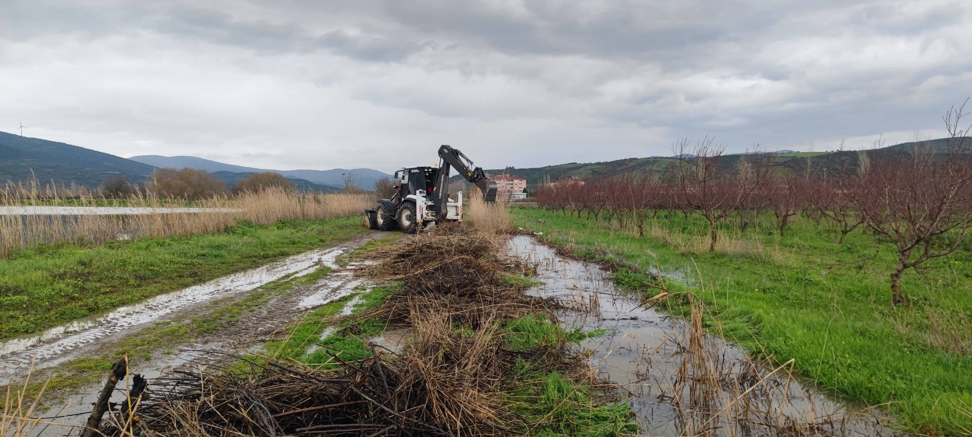 637878054 1231791642487164 8022601328111574538 N