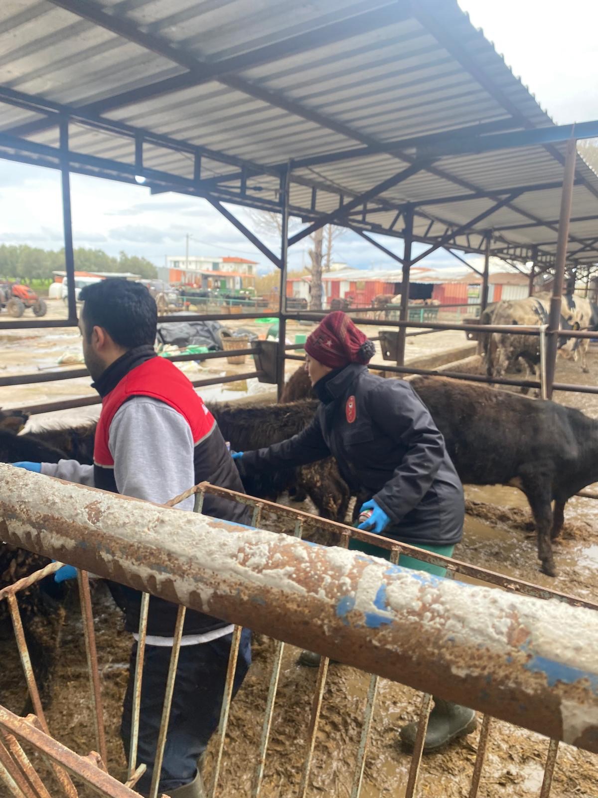 638290059 17876931093484925 2744665251330223383 N