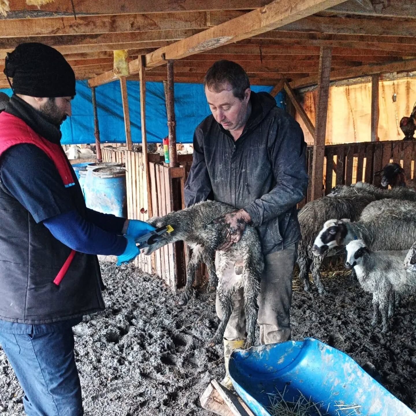 641296019 18080791277524508 214240932734093916 N