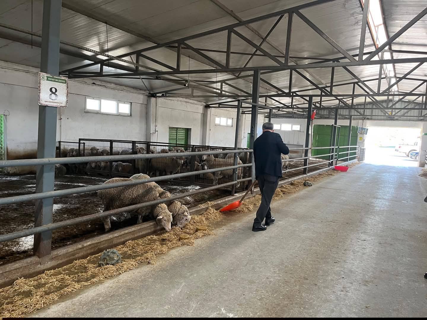 641353435 1236888385310823 7973541507289836911 N