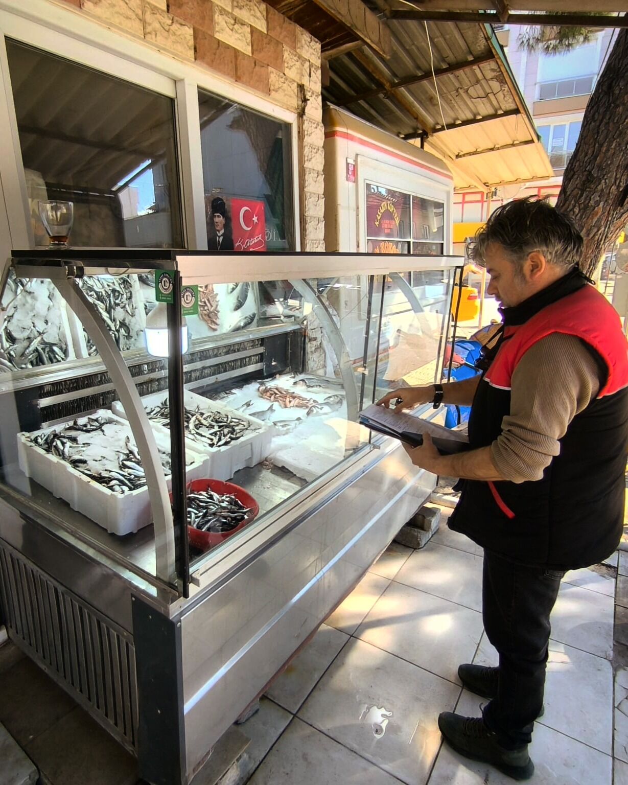 641707513 17877509964484925 8863127923182392048 N