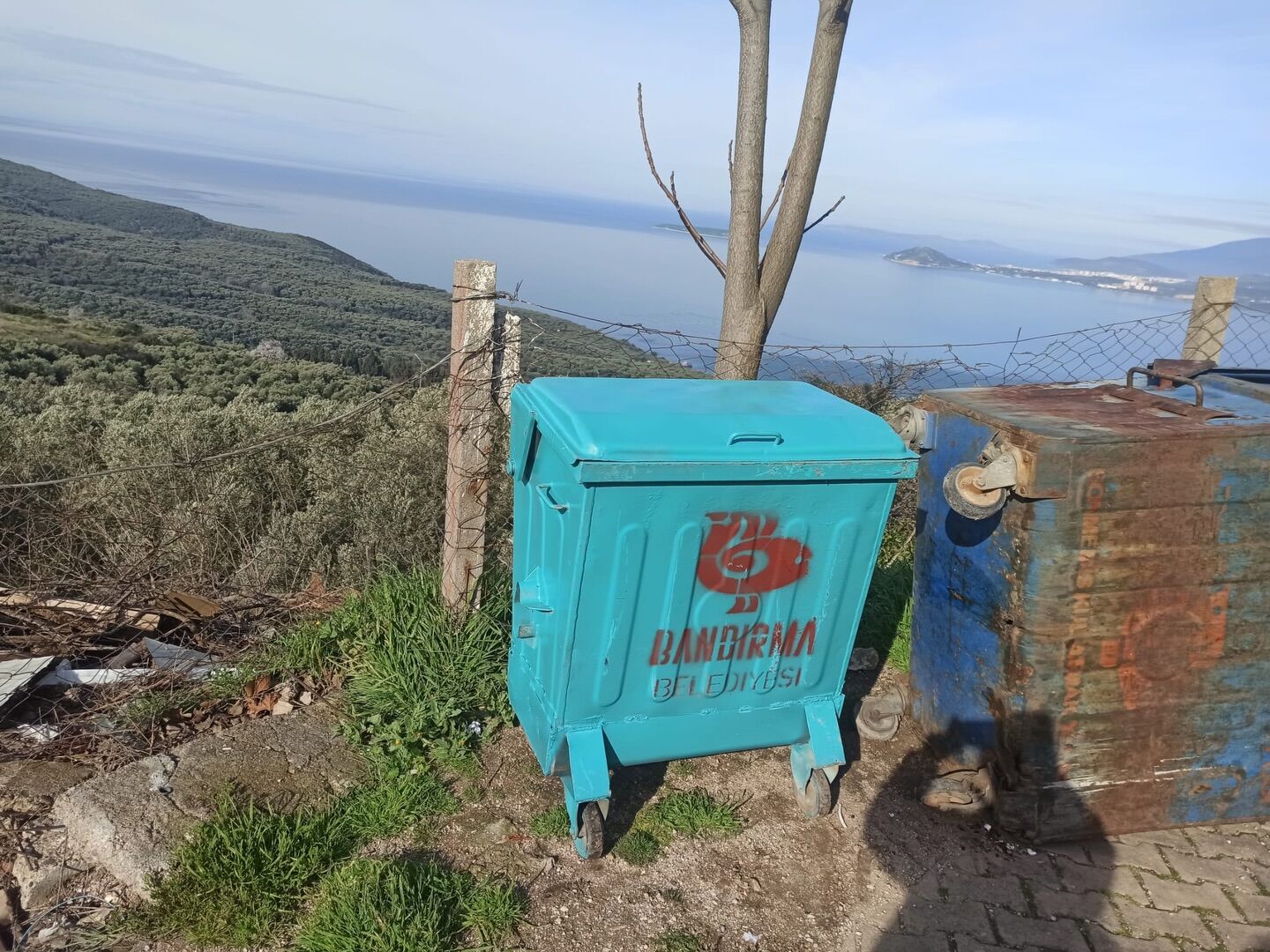 642133902 18348251983225400 6308995913148018858 N