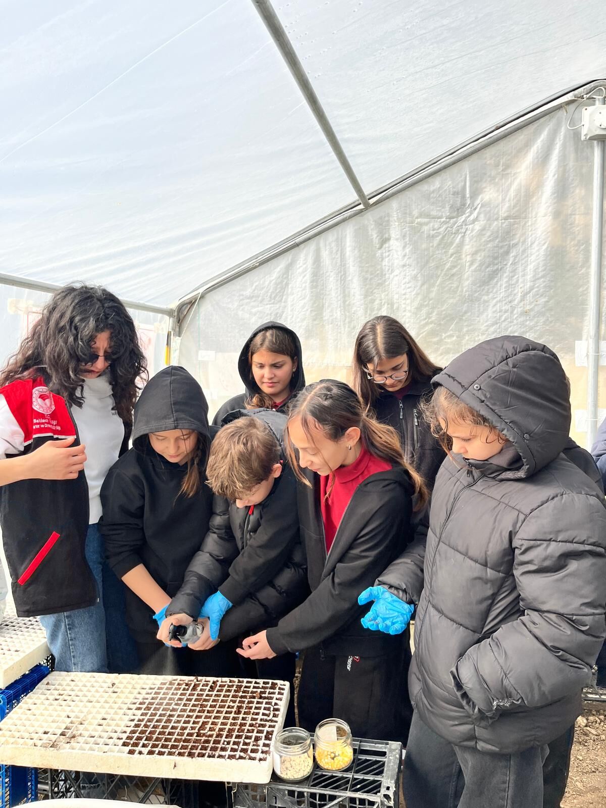 642147503 122159519564694862 6097232171929456580 N