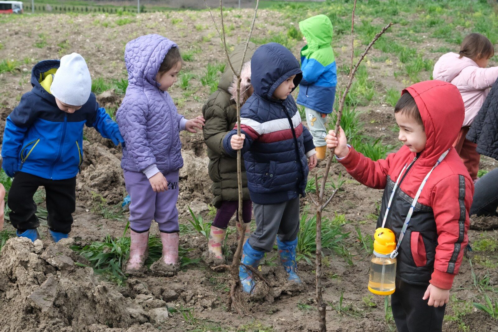 642822796 1357789619711559 2666659309115828415 N