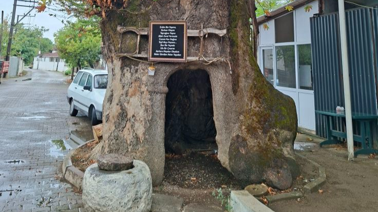 68Da4912Ebe90 Yenicenin 900 Yillik Cinari