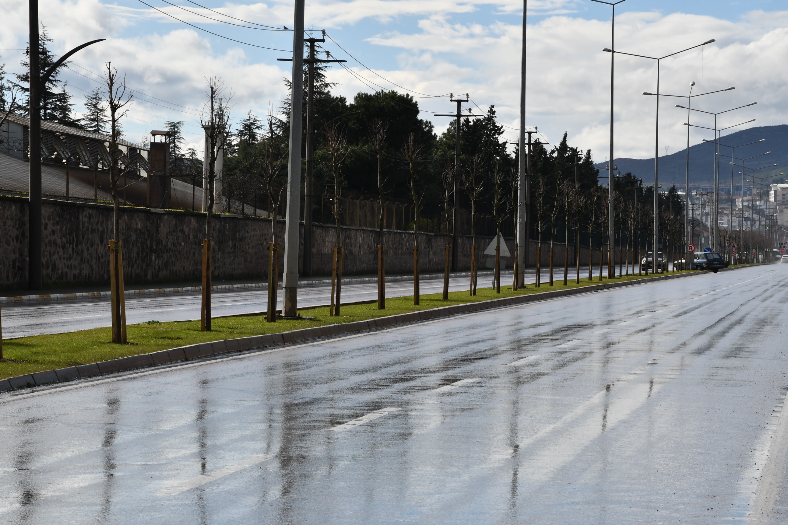 6D51F1E4 Cd00 405E Abfe 0F729Cd69C4D