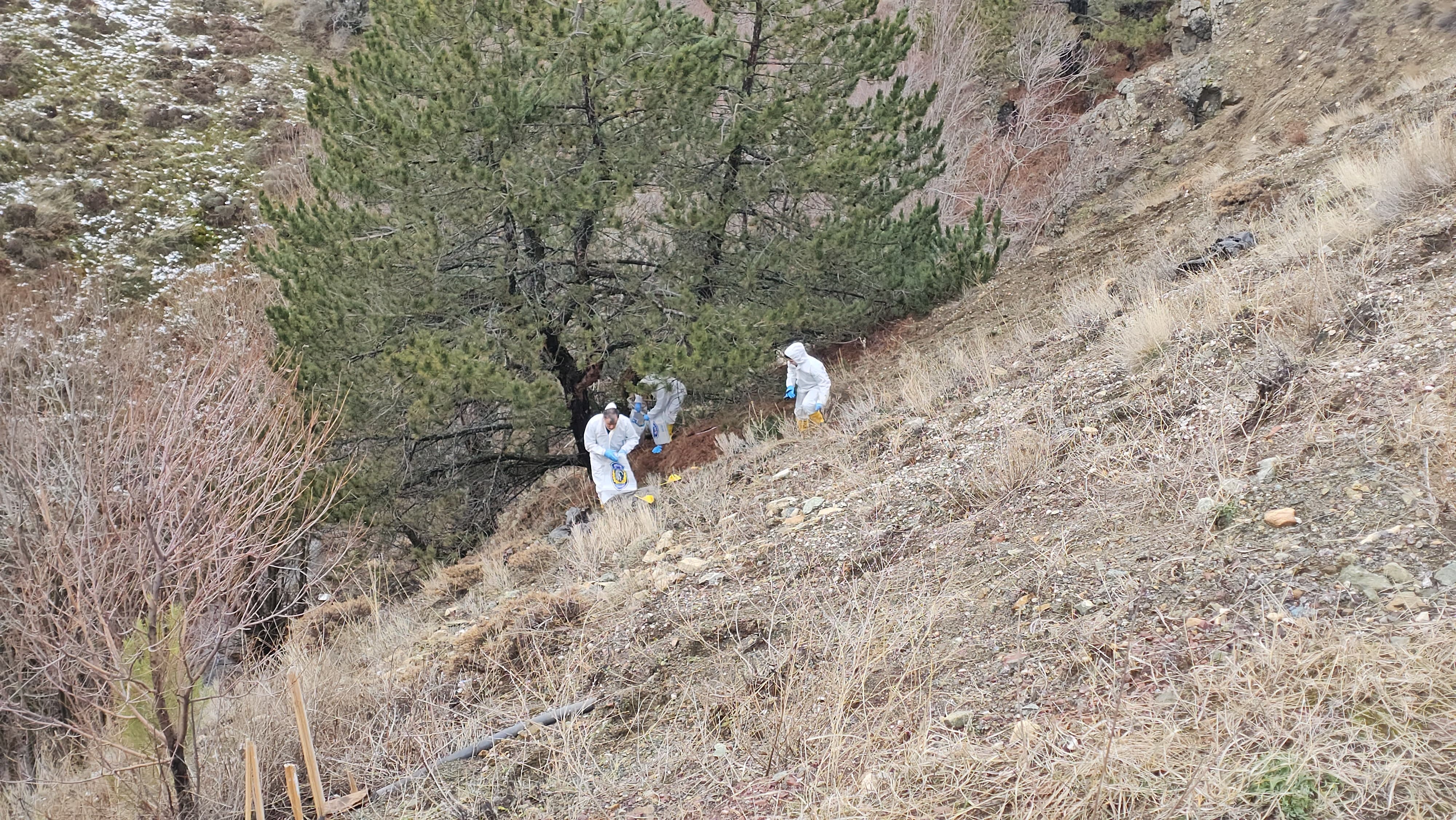 A A 20260202 40436773 40436770 C O R U M D A 6 G U N D U R K A Y I P O L A R A K A R A N A N K I S I N I N C E S E D I N E U L A S I L D I