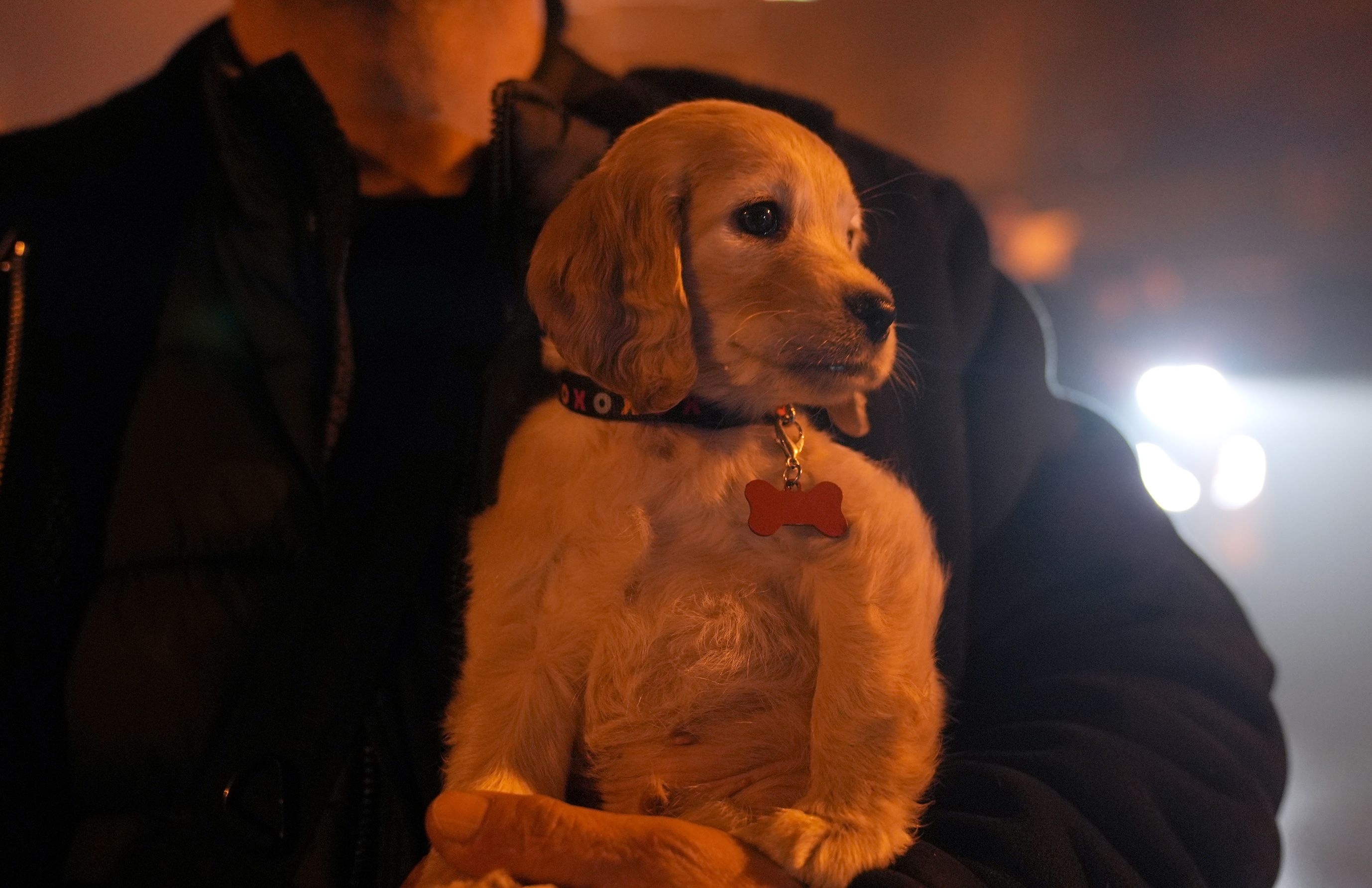 A A 20260213 40539724 40539720 K A G I T H A N E D E I S H A N I N D A C I K A N Y A N G I N D A M A H S U R K A L A N 11 K I S I K U R T A R I L D I