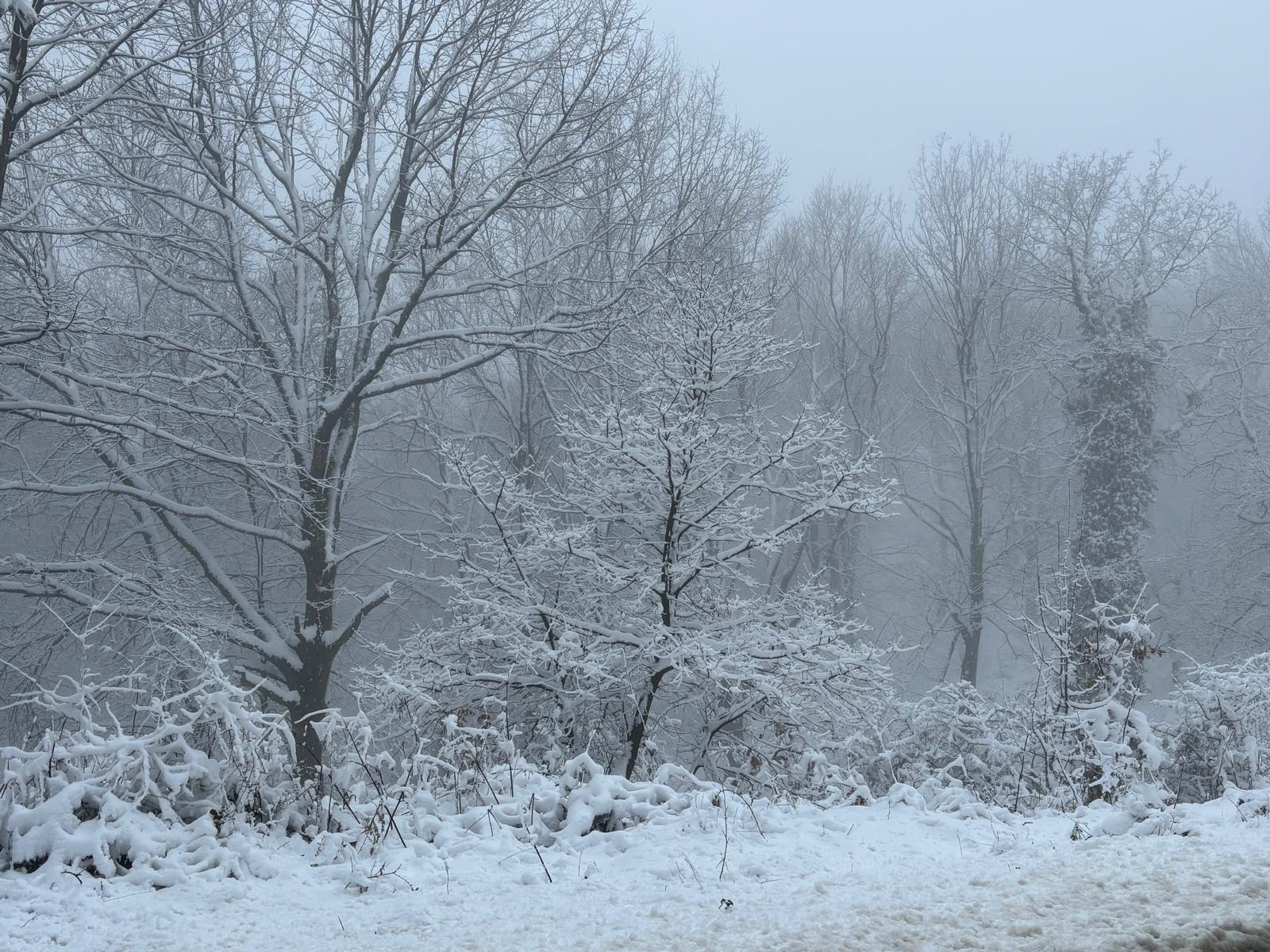 A A 20260222 40637637 40637635 C A N A K K A L E N I N Y U K S E K K E S I M L E R I N D E K A R E T K I L I O L D U