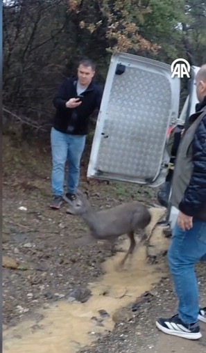 Ekran Görüntüsü 2026 02 20 123021