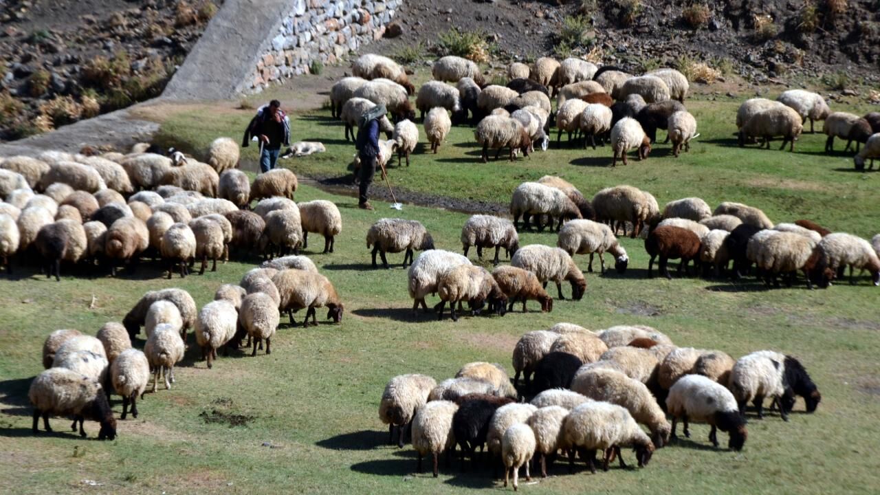 Erdogan Kucukbas Destek