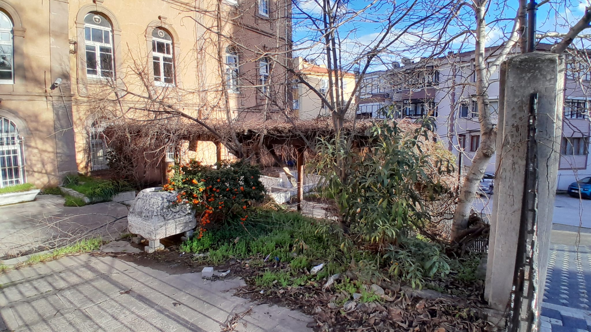 Whatsapp Image 2026 02 09 At 20.33.48