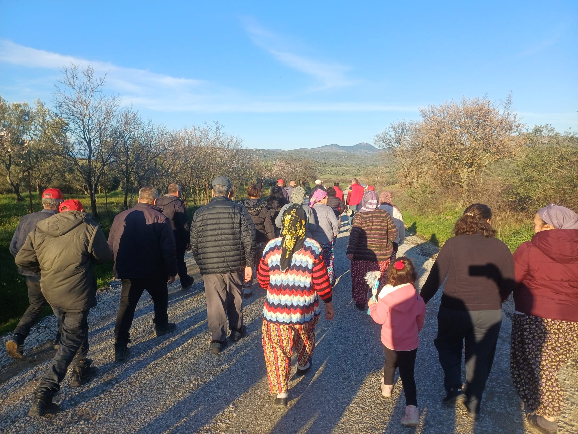 Whatsapp Image 2026 02 19 At 18.47.13