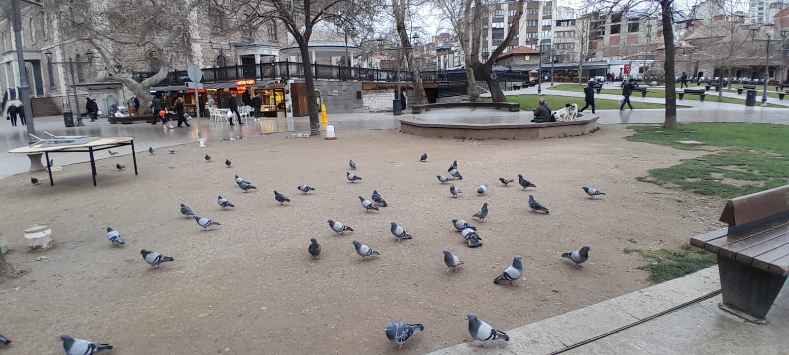 126Bac28 E4C0 4F1A Bebc Deaef4B02E80