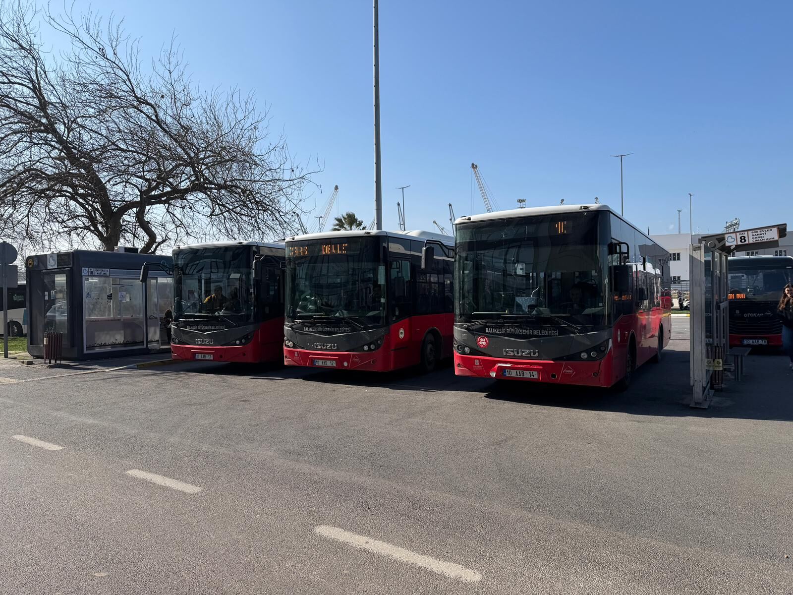 1Bf73433 8Cab 47E9 999C Fa2D94345660